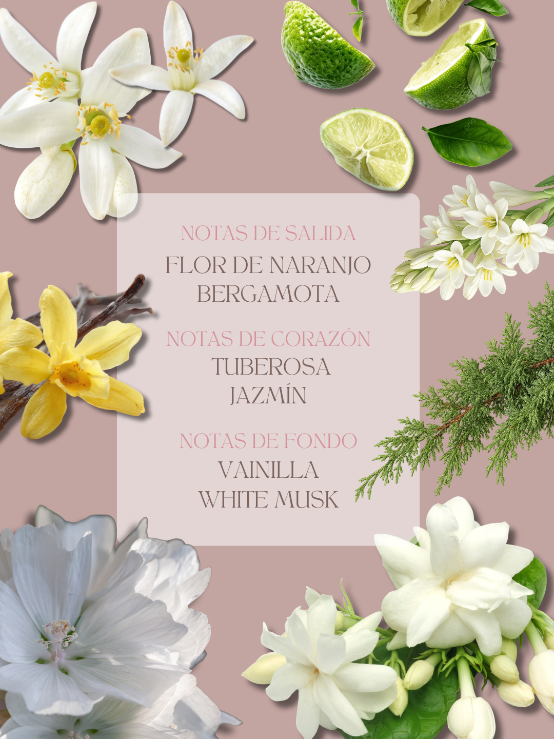 Fresa y Nata Eau de Parfum Mujer