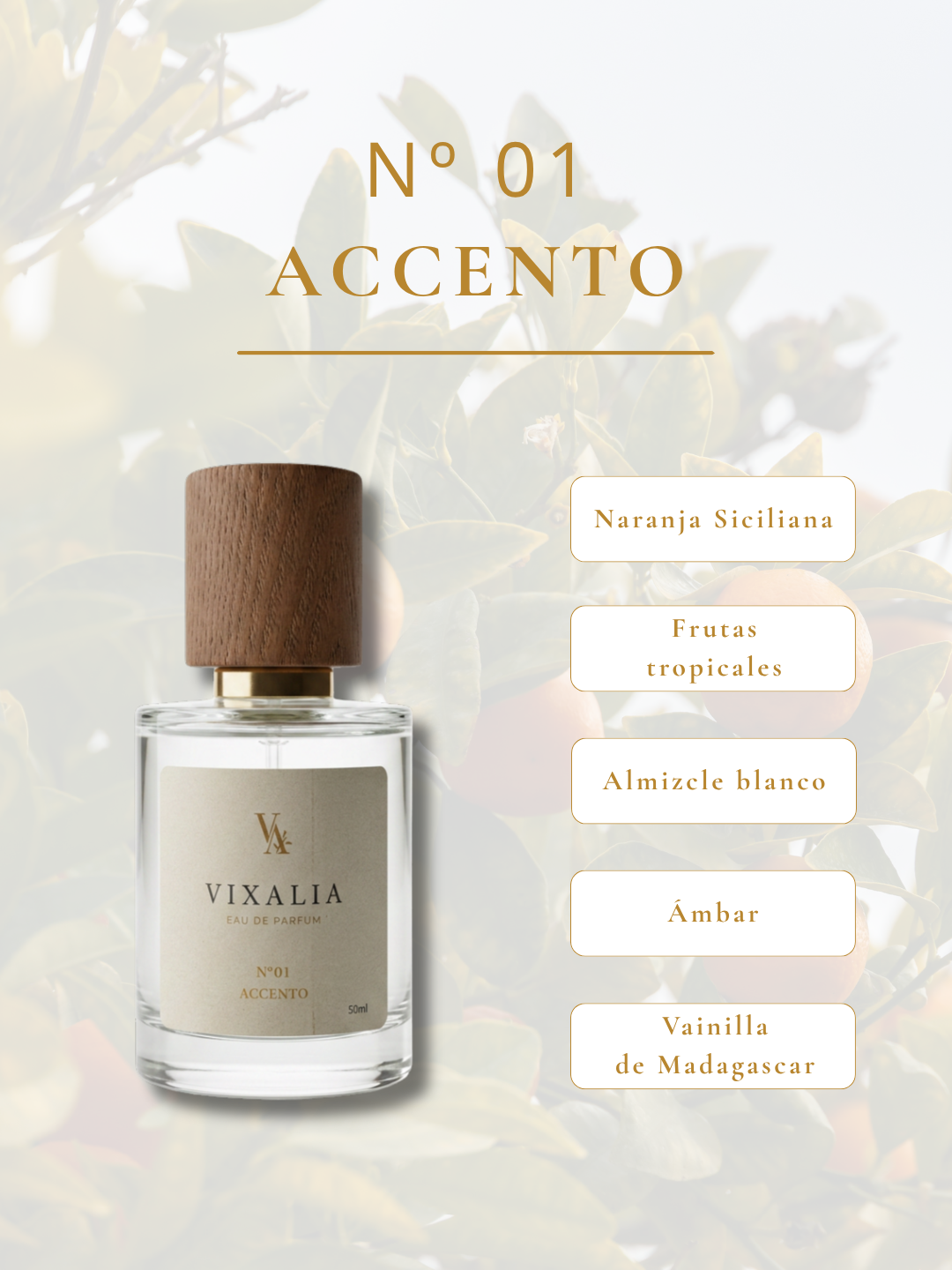 ACCENTO Nº01 – Perfume Floral Almizclado. Fragancia unisex elegante, limpia y luminosa.