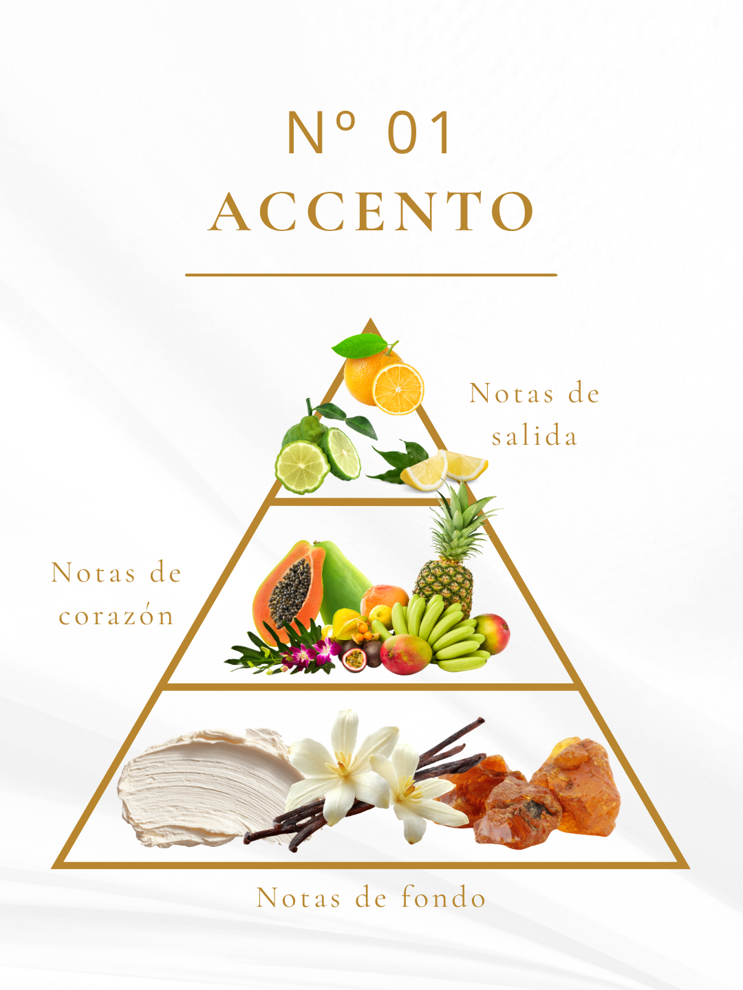 ACCENTO Nº01 – Perfume Floral Almizclado. Fragancia unisex elegante, limpia y luminosa.