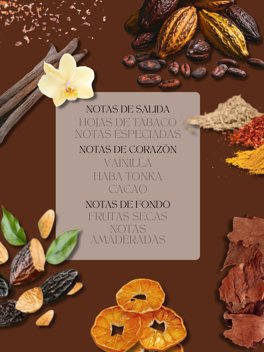 Chocolate y Vainilla Eau de Parfum Hombre